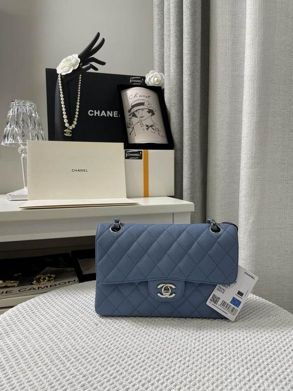 Chanel Handbags 169